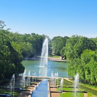 Portfolio Image 1