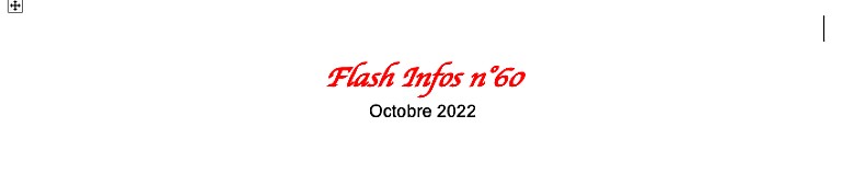 Flash Infos n°60