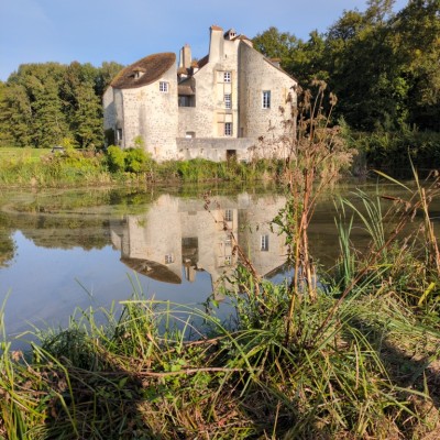 Portfolio Image 1