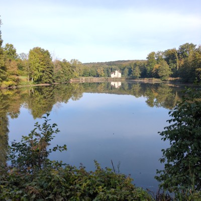 Portfolio Image 1