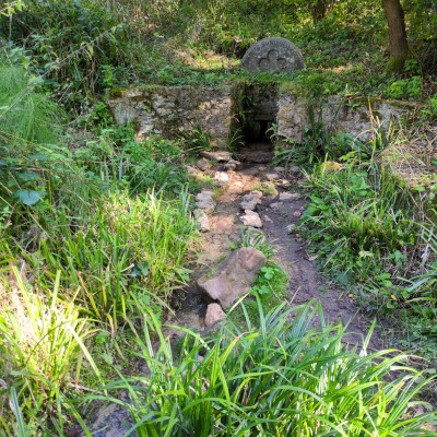 Portfolio Image 1