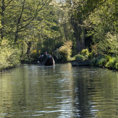 Portfolio Image 1