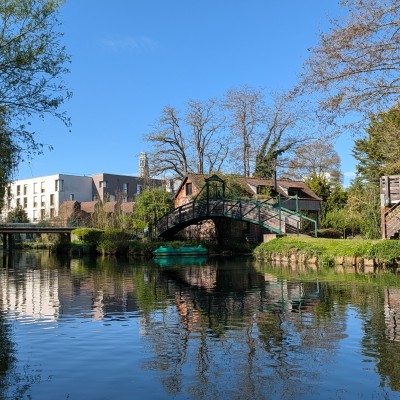 Portfolio Image 1