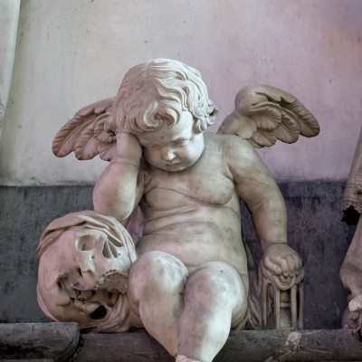 Portfolio Image 1