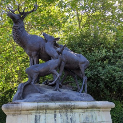 Portfolio Image 1