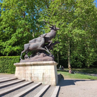 Portfolio Image 1